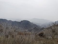 -大岭沟猕猴桃谷风景区