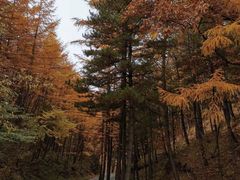 -洛阳白云山景区