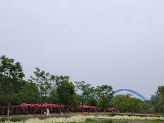 -习家池
