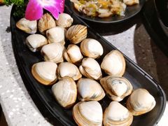 白蚬子-吉力烤鳗