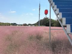 -嘉北郊野公园
