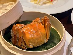 -萬國春·中菜馆(颐和公馆店)