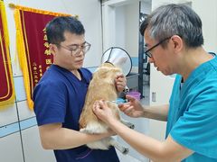 -中农国际动物医院24小时·猫科·骨科·急重症中心
