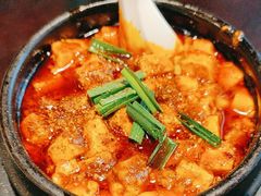 -陈麻婆豆腐总店