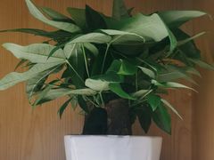 -荷花亭·湖北融合菜(十堰武商MALL店)