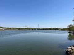 -大兴滨河森林公园