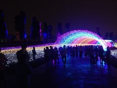 -秀丽东方