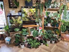 -Rabbit Cafe私房西餐甜点咖啡(栖霞路店)