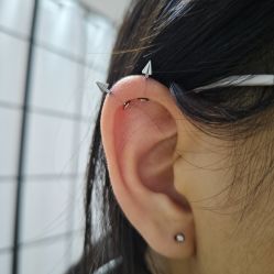 -众刺纹画·纹身·穿孔饰品·海娜定制