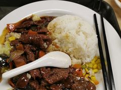 -自然博物馆新馆2楼餐厅