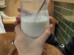-是阿柴呀！柴犬咖啡·爱喵喵猫咖