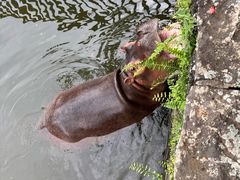 -海南热带野生动植物园
