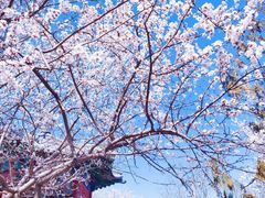 -北京凤凰岭