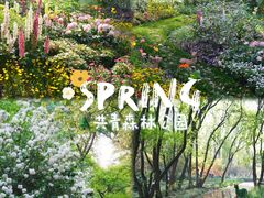 -上海共青森林公园