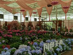 -盈香心动乐园