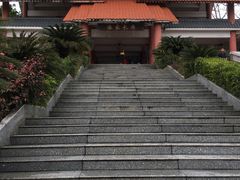 -大屏嶂森林公园