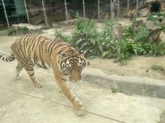 -荆州中山公园动物园