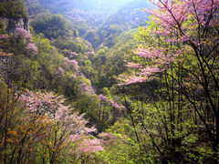 景点-老君洞旅游度假区