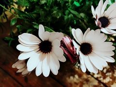 -馥家小馆(黔灵山公园店)