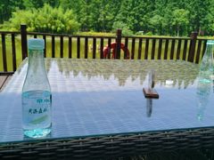 -黄海国家森林公园