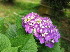 -万景茶庄·台州菜