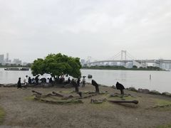 -台场海滨公园船码头