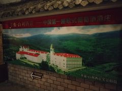 -青岛葡萄酒博物馆