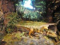 -墨尔本博物馆(Melbourne Museum)