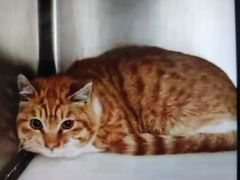 -萌兽医馆·犬猫专科·眼科中心·宠物医院(朝阳门分院)