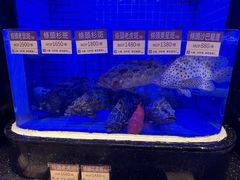 -協成海鮮火鍋(老店)