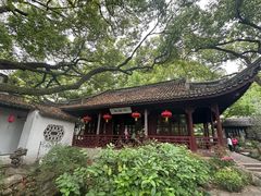 -上海醉白池公园