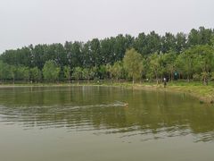 -东郊湿地公园