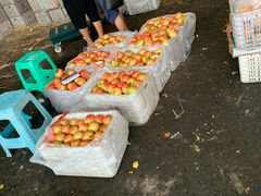 -菜园坝水果市场