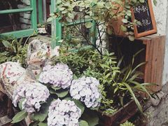 android_upload_pic-懒鱼时光馆(沙坪坝店)
