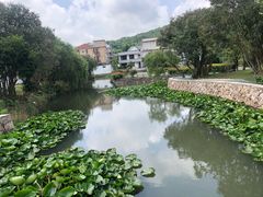 -乌石塘景区
