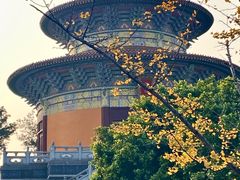 -铁山坪森林公园