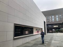 -Apple零售店(成都太古里店)