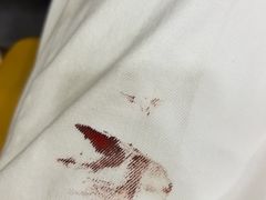 -瑞派伍一宠物医院·眼科·骨科·猫科转诊中心(马王堆院)