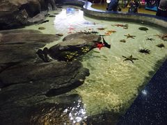 -福州罗源湾海洋世界旅游区