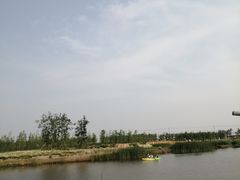 -春花秋色城市公园