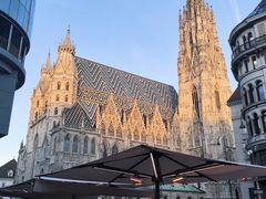 -斯蒂芬主教座堂(Stephansdom)