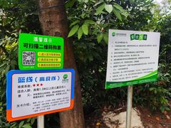 -芦仙山景区-飞越丛林探险乐园