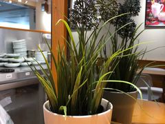 -醉面(五道口启迪大厦店)
