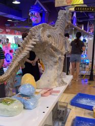 -卡通尼乐园(上海安亭店)