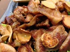-蘑统田下·野生菌火锅