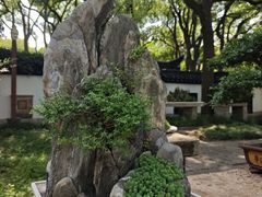 -上海醉白池公园