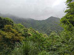 -梧桐山风景名胜区