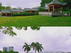 -紫马岭公园