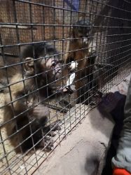 -酷嗒动物文化乐园(cutezoo西溪乐天城店)