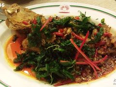 油煎鱼-建兴酒家(萨木亚店)